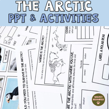 Arctic Animal Labelling Worksheets Teaching Resources Tpt