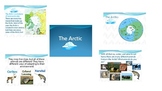 Arctic Adventure Power Point Presentation FREEBIE!