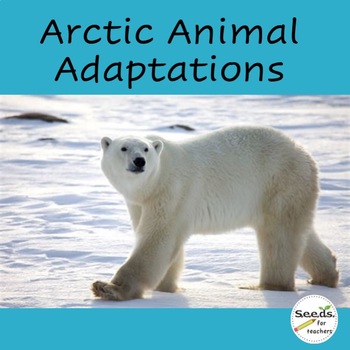 Arctic Animal Adaptations by Seedsforteachers | TPT