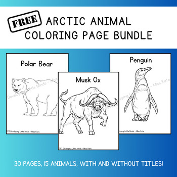 FREE Arctic Animal Coloring Pages by Developing Little Minds - Miss Kate