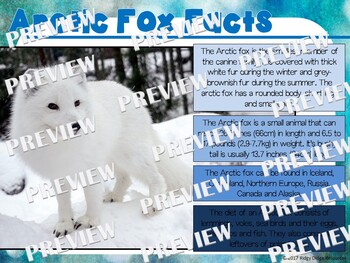 Arctic Animal Factballs and Fact Sheets by Ridgy Didge Resources