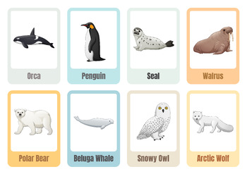 14 FREE Arctic animals Flashcards, PDF