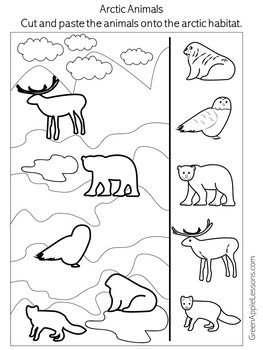 arctic animals preschool kindergarten 1st 2nd 3rd grade worksheet activity