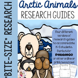 Arctic Animal Research