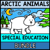 Arctic Animal Research - CUSTOM BUNDLE - Special Education
