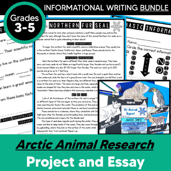 Preview of Arctic Animal Research Report BUNDLE - Informational Writing and Posters