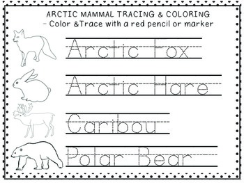 Arctic Animal Trace & Color Freebie with 12 Arctic Animals to Color & Trace