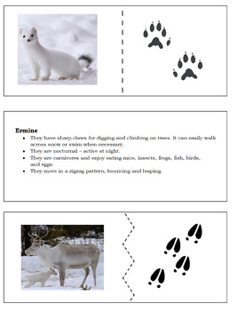 Arctic Animal Tracks Matching Game by ND Helping Hands | TPT