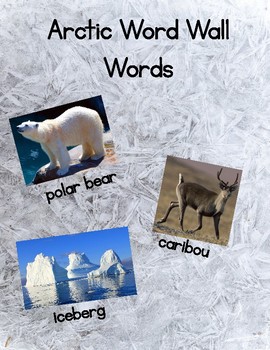 Preview of Arctic Animal Word Wall - Pictures First