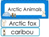 Arctic Animal Word Wall Weekly Theme Bulletin Board Labels.