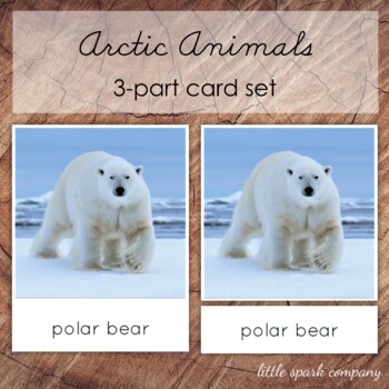 Montessori Nomenclature ~ Arctic Animals 3 Part Cards - 1+1+1=1