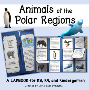 Preview of Arctic Animals | Animal Habitat Project