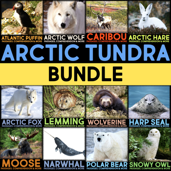 Arctic Animals Articles, Website Research & Comprehension Activities BUNDLE