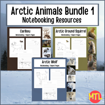 Preview of Arctic Animals Bundle 1