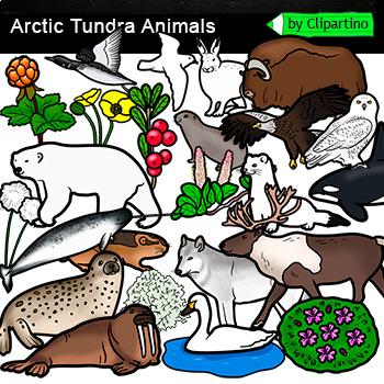 Preview of Arctic Animals Clip Art Commercial use /Arctic Tundra Habitats Clip Art 