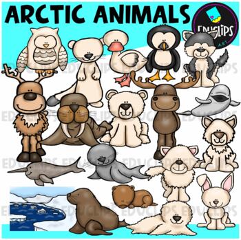 Preview of Arctic Animals Clip Art Set {Educlips Clipart}
