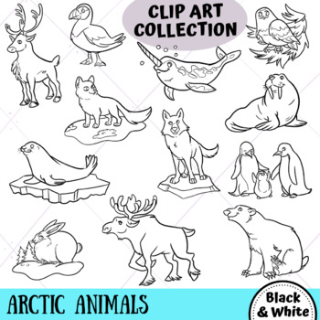 arctic animals black and white clipart