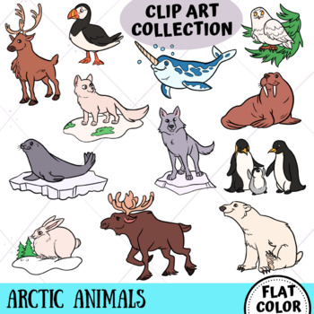 Arctic Animals Clip Art Collection (FLAT COLOR ONLY) by KeepinItKawaii