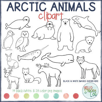 Arctic Animals Clipart - Winter by Hello StaceyLou | TPT