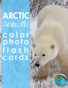 Preview of Arctic Animals