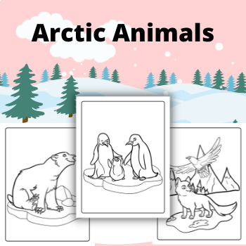 Arctic Animals Coloring Pages by Qetsy | TPT