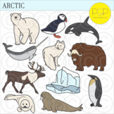 Arctic Animals Ecosystem/Biome Clip Art by PGP Graphics *b