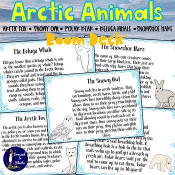 Arctic Animals Facts and Quiz by Dressed in Sheets | TPT