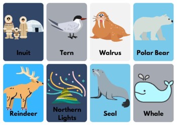 Arctic Animals Flashcards Teaching Resources | TPT