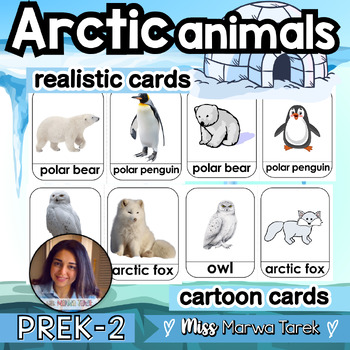 Preview of Arctic Animals {Flashcards} - Ms Marwa Tarek