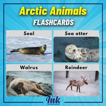 Arctic animals flash cards