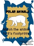 Arctic Animals - Footprint Matching Activity