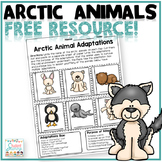 Arctic Animals - Free Resource Freebie Worksheet Printable