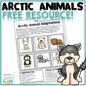 Preview of Arctic Animals - Free Resource Freebie Worksheet Printable Animal Adaptations