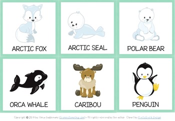 Polar Animals Flash Card  Montessori Printable Resources