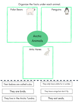 Preview of Arctic Animals Graphic Organizer
