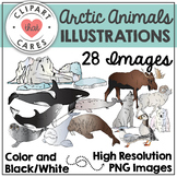 Arctic Animals Clipart by Clipart That Cares