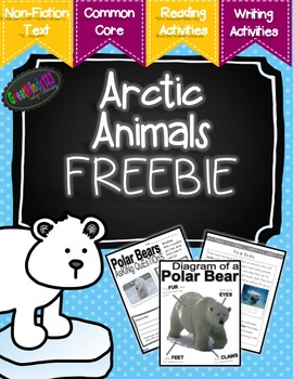 Preview of Arctic Animals Informational Text - Free