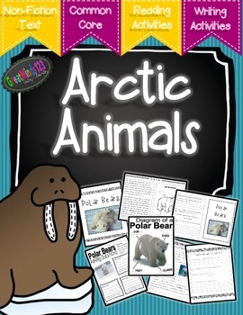Preview of Arctic Animals Informational Unit