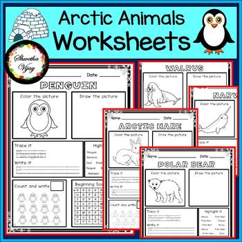 Arctic Animals Kindergarten Worksheets First grade Polar Animals Activities