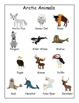 Arctic Animals Worksheets for Kids