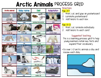 Preview of Arctic Animals Learning (Process Grid Anchor Chart)