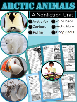 Preview of Arctic Animals Nonfiction First Grade Reading Comprehension | Text Features