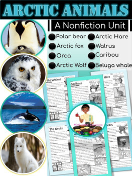 Preview of Arctic Animals Nonfiction Reading Comprehension Passages Text Features | Winter