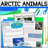 Arctic Animals Nonfiction Articles Research Writing Lesson Plans