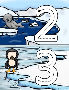 Preview of Arctic Animals Number Tracing Cards