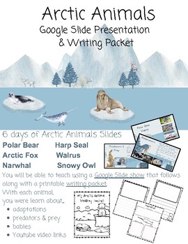 Preview of Arctic Animals-Powerpoint Presentation and Informational Writing Packet & Art!