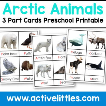 Preview of Arctic Animals Printable - 3 Part Cards