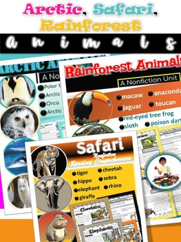 Preview of Arctic Animals, Rainforest Animals, Safari Animals Reading Comprehension