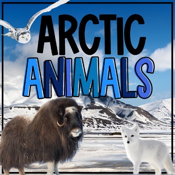 Preview of Arctic Animals | Reading Comprehension, Winter, Informational Books, Games