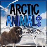 Arctic Animals | Reading Comprehension, Winter, Informatio